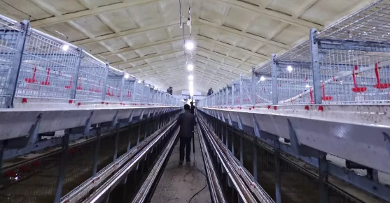 養鴨場老板:熱泵供暖溫度高,費用比燒煤還省!